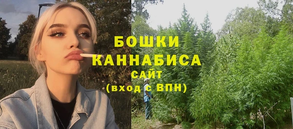 spice Бородино