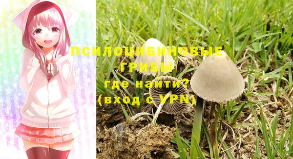 спиды Верхний Тагил