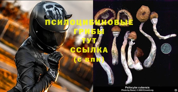 спиды Верхний Тагил