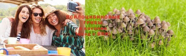 дмт Верея