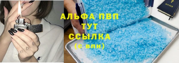 spice Бородино