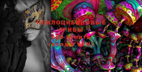 spice Бородино