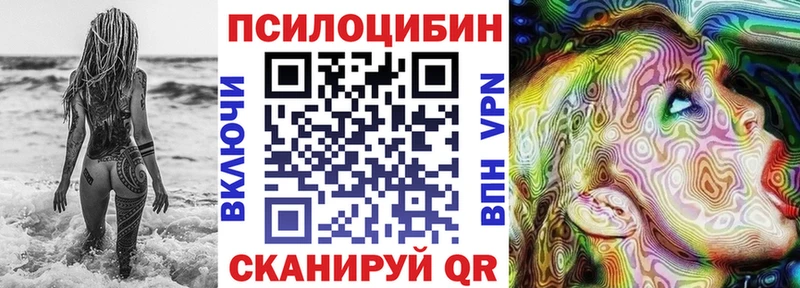 купить  сайты  Вельск  Псилоцибиновые грибы GOLDEN TEACHER 